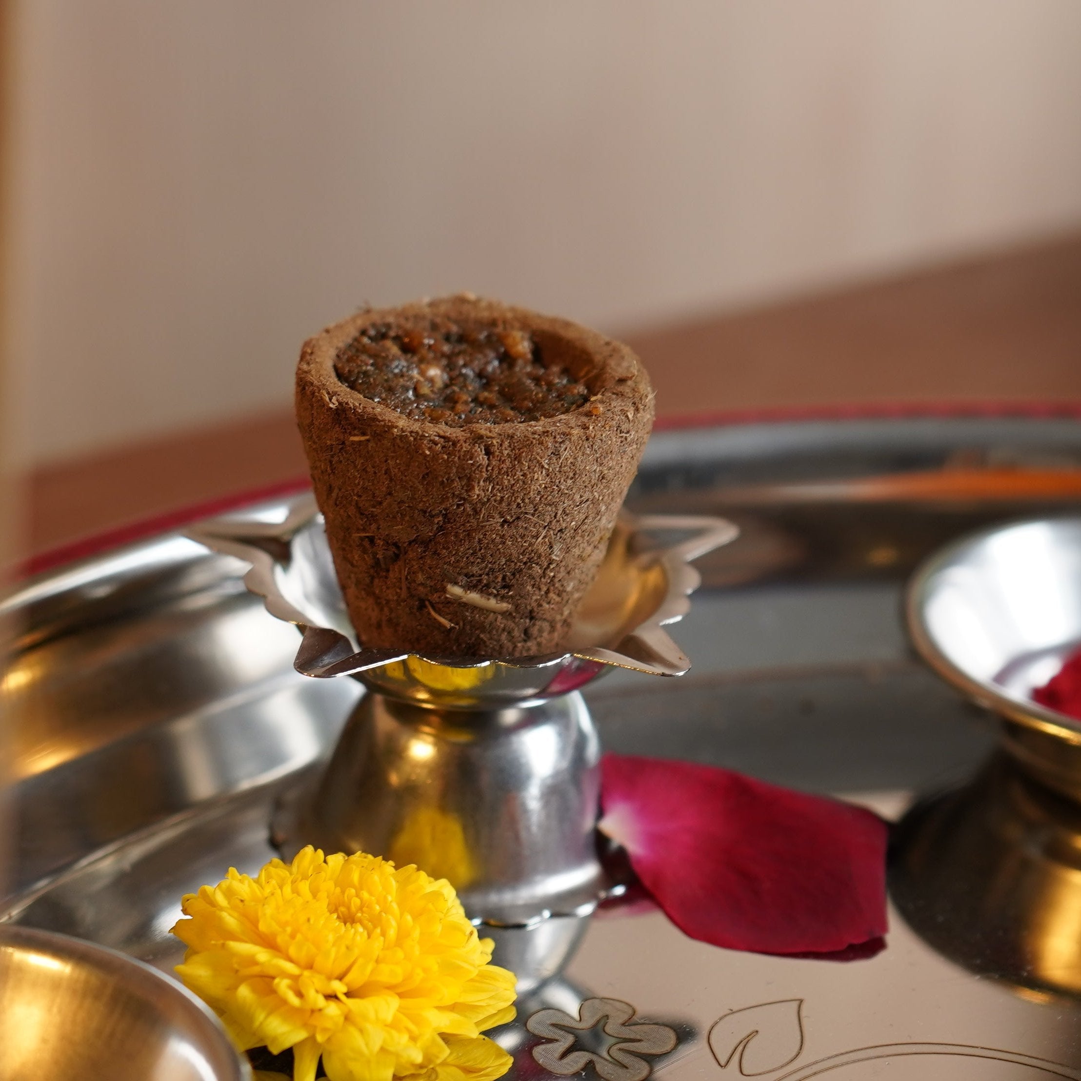 PVI - Cow Dung Dhoop Cups - Set of 12