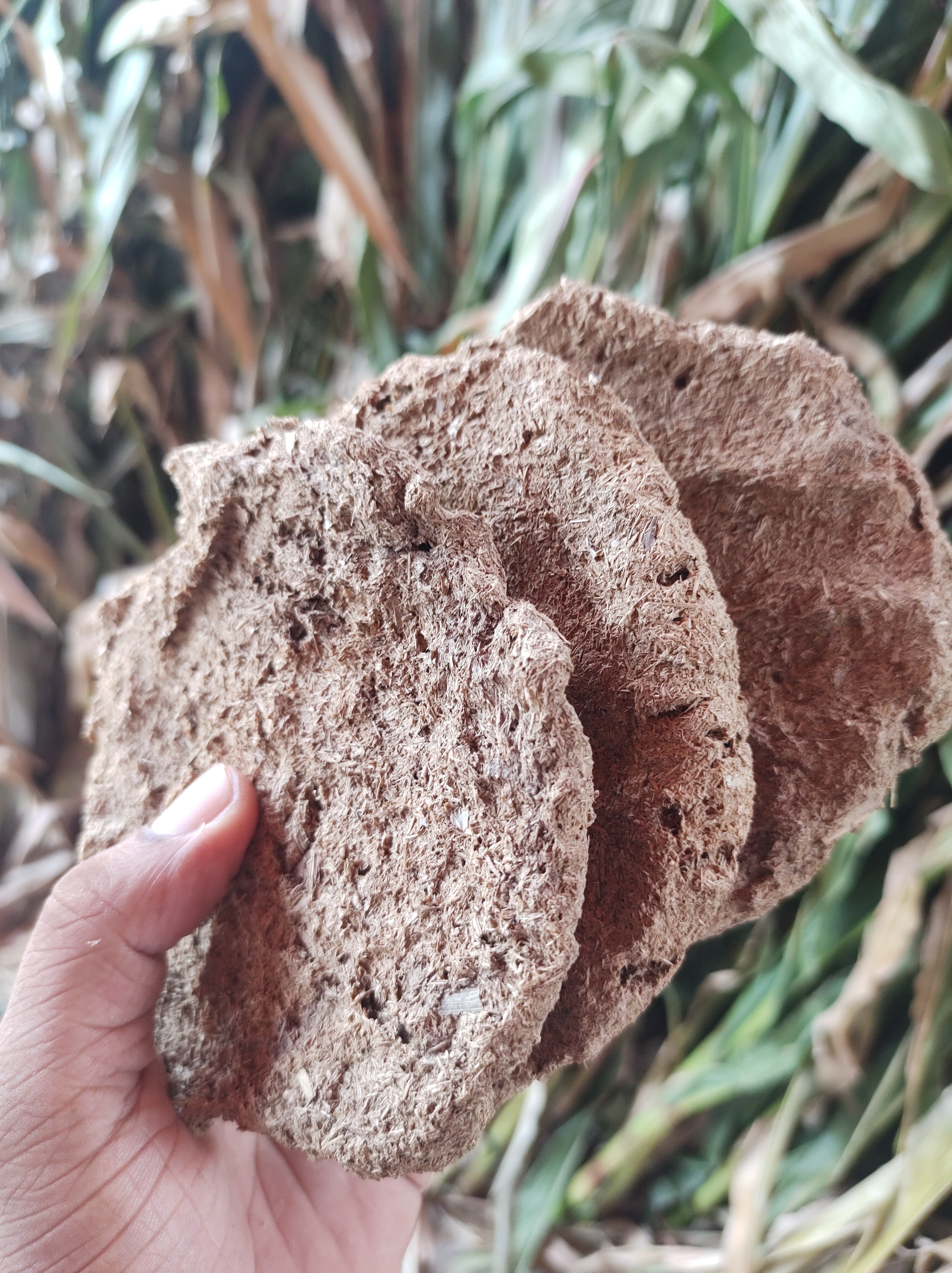 PVI Nandanvana Gaushala A2 Cow dung Cake (Pack of 10)