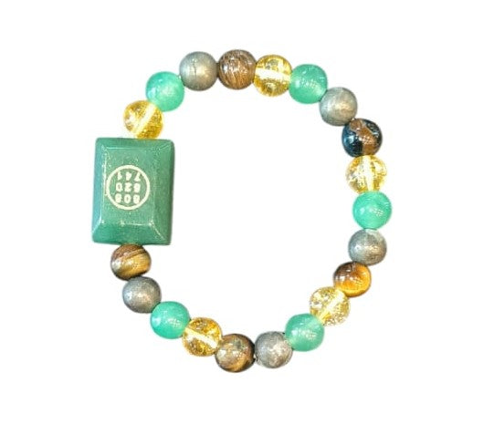 Green Jade Zibu Symbol Money magnet Bracelet, 8 mm Abundance Bracelet With Zibu Coin.